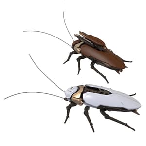 Robox Animation Guangdong Cockroach overall view